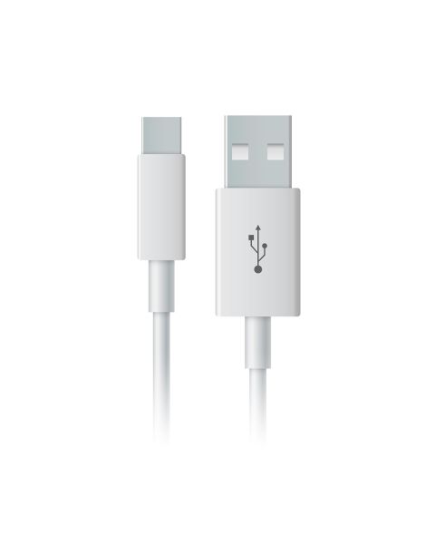 USB-C charging cable - KIWI VAPOR